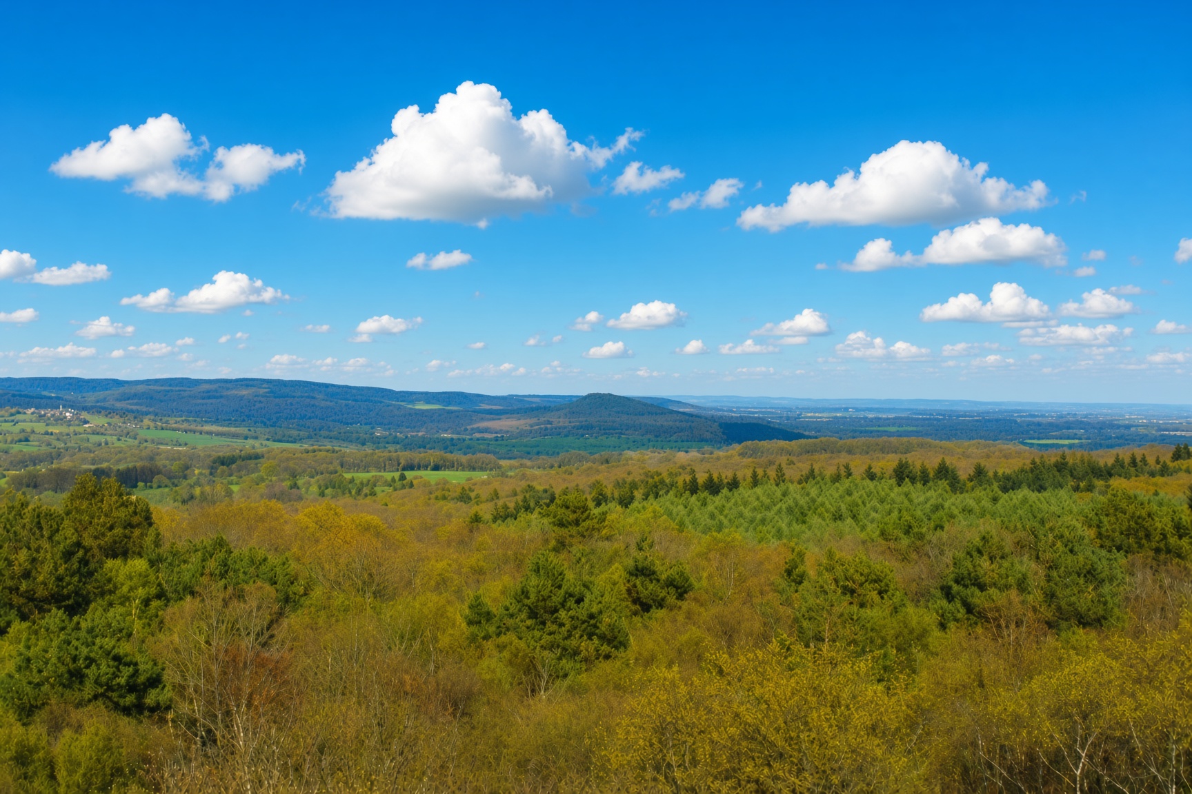 Forêt d'Écouves