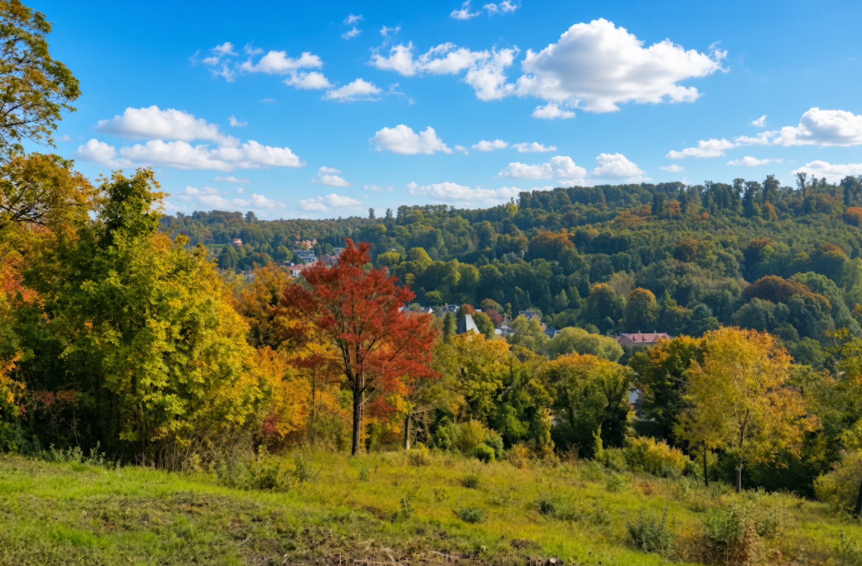 Forêt domaniale de Lyons