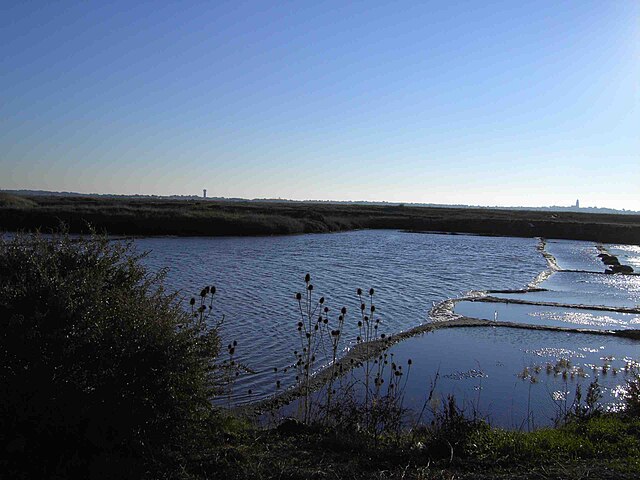 Marais Salants de Guérande